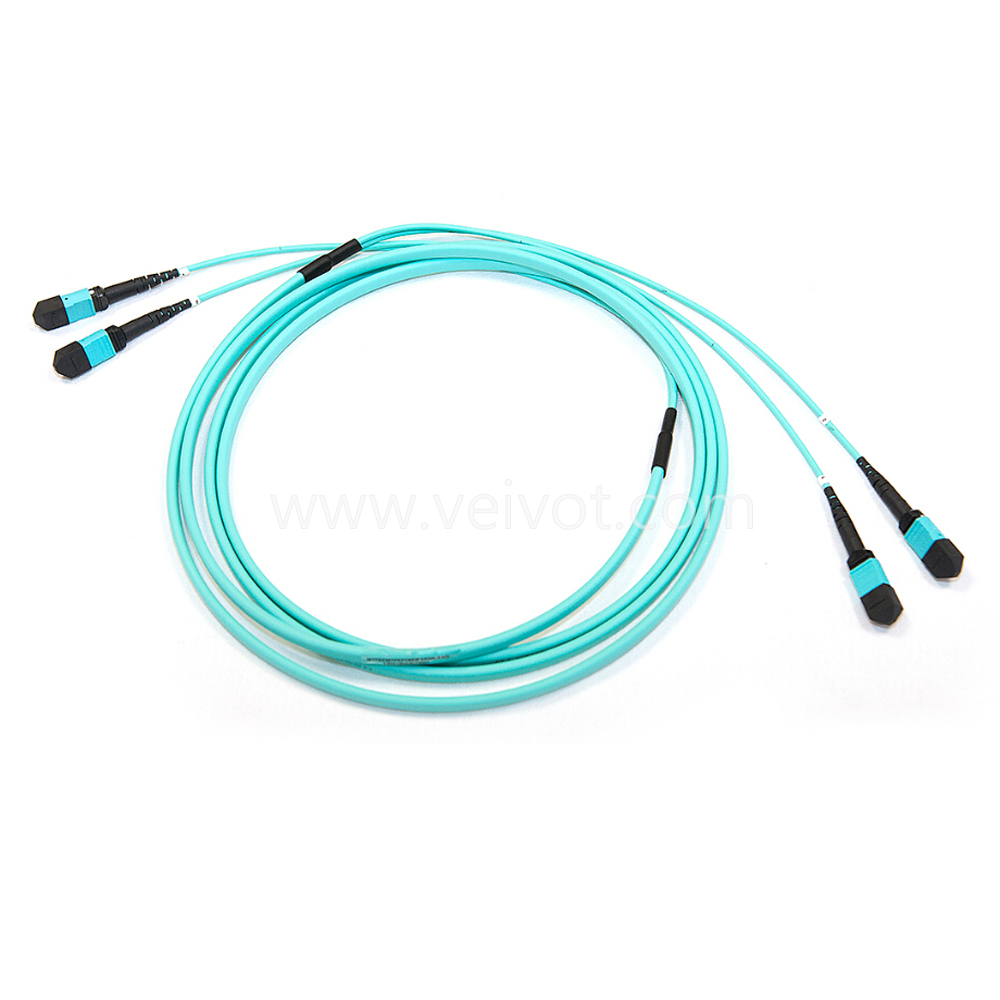 2xMPO-2xMPO Breakout Trunk Cable Singlemode Multimode