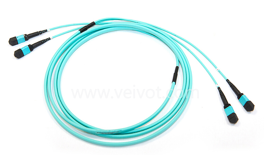 2xMPO-2xMPO SM MM Breakout Trunk Cable - VEIVOT